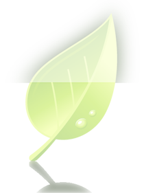 greenleaf-footer-leaf